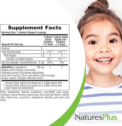 NaturesPlus Animal Parade KidZinc, Tangerine Flavor - 90 Animal-Shaped Lozenges - Organically Chelated Zinc - Vegan, Gluten Free - 90 Servings