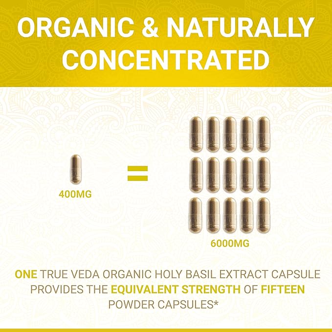 Holy Basil Capsules B6 Capsules B6 and 2.5% Ursolic 15:1 | 60 Vegan