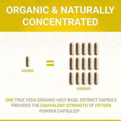 Holy Basil Capsules B6 Capsules B6 and 2.5% Ursolic 15:1 | 60 Vegan