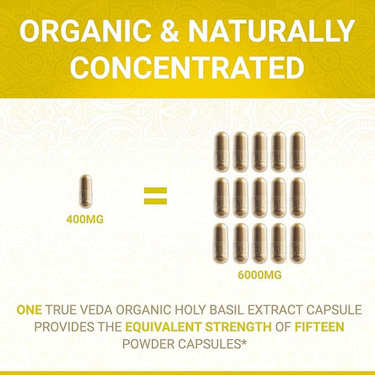 Holy Basil Capsules B6 Capsules B6 and 2.5% Ursolic 15:1 | 60 Vegan