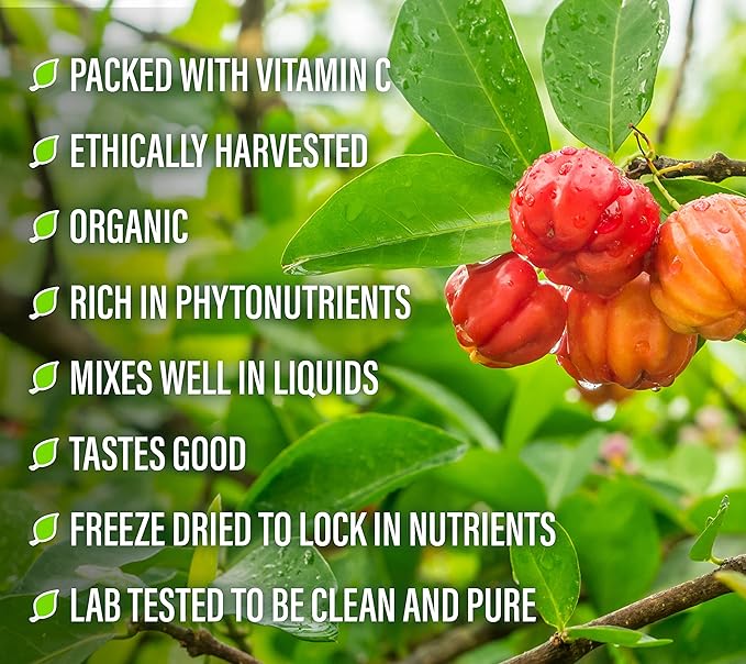 Perfect Supplements – Perfect Acerola Powder 156 Grams 100% Pure