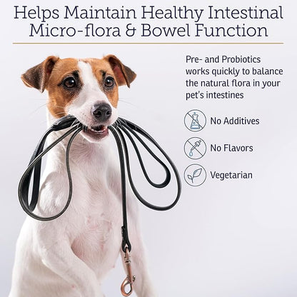 Rx Vitamins Rx Biotic Probiotics for Dogs & Cats - Digestive Supplement for Pets - 2.12 oz