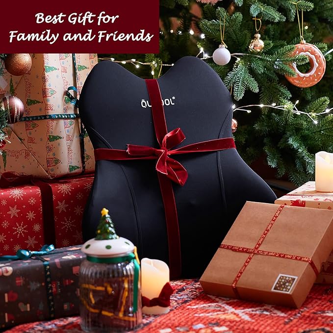QUTOOL Lumbar Support Pillow for Car/Office
