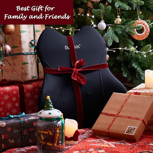 QUTOOL Lumbar Support Pillow for Car/Office