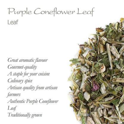Purple Coneflower Herb Echenecia Tea