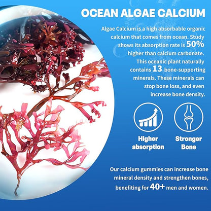 Algae Based Calcium Supplement 600mg, Ocean D3, K2, K2, Magnesium, B6, B12 B12 for 2 Pack
