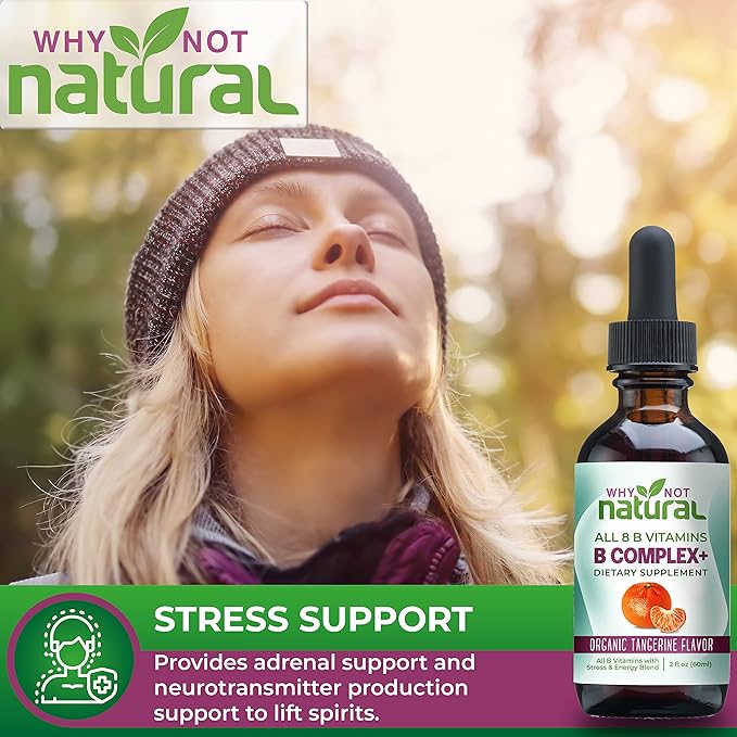 Why Not Natural Vitamin B Complex B1 B2 B2 B3 B3 B5 B5 B6 B6 Biotin