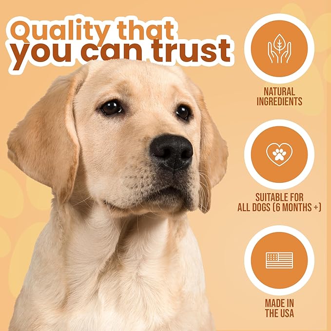 Chewable Dog Vitamins and Supplements – Daily Longevity Multivitamin for Dogs with Curcumin, Taurine, Trans-Resveratrol – Essential Vitamins for Dogs to Support Wellness and Vitality