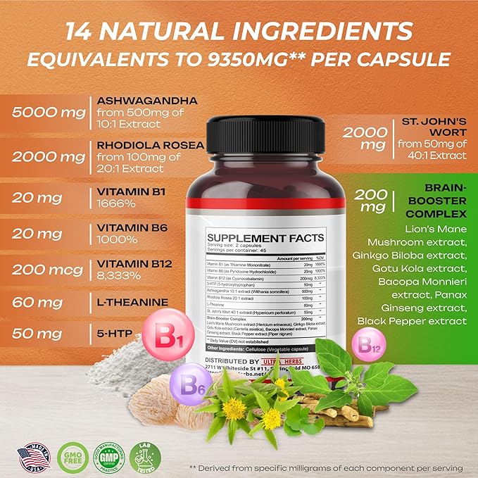 Dopamine Focus Supplement Ashwagandha 5000mg 5-HTP 50mg Rhodiola 2000mg St. 2000mg - B1, B6, B6, B12, B12, L-Theanine