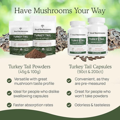 Turkey Tail Capsules - Organic Mushroom Supplement with Potent Turkey Tail Mushroom Extract for Gut, Energy, Brain, & Immune Support - Vegan Mushroom Extract, Non-GMO, 200 Caps