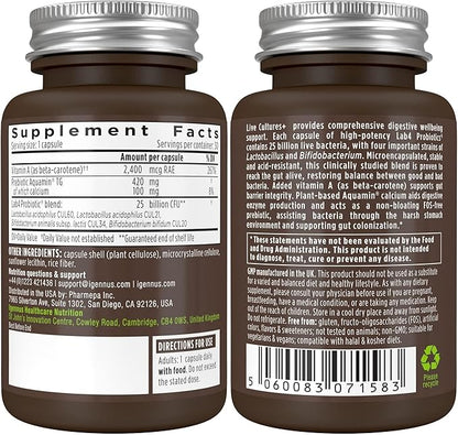 Igennus Probiotics & Prebiotic, Lactobacillus Acidophilus & Bifidobacterium, Live Cultures+ Lab4, Guaranteed 25 Billion CFU, for Women & Men, Non-Bloating Gut Health Support, Non-GMO, 6 x 30 Capsules
