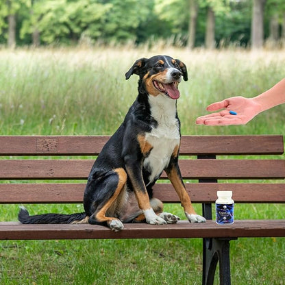 Dr. Fossum's CogniCaps Dog Cognitive Supplement – Multivitamin for Dogs Brain Health with SAM-e, Coenzyme Q10, Polygala, Curcumin – Senior Dog Supplements for Cognitive Support