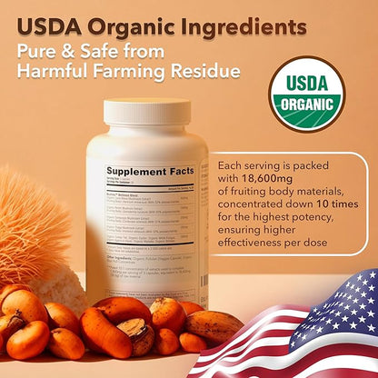 USDA Organic Lions Mane Supplement Capsules (18,600mg/serv) 10x 10x Adaptogenic