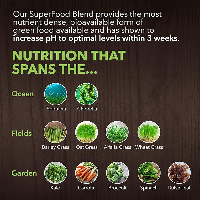 PlantFusion Alkalizing Super Greens Powder 8.46 oz 30 Servings
