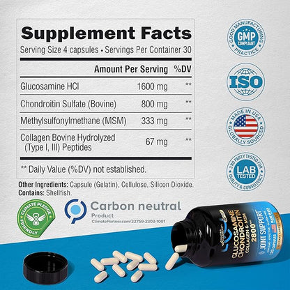 Glucosamine | Chondroitin | MSM | 2800 mg 120 Capsules