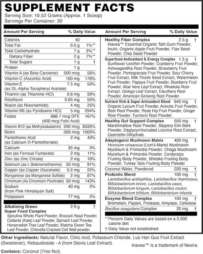 TERRA ORIGIN Healthy Greens Powder, Superfoods, Probiotics, Enzymes, Immune & Digestive Support, Energy & Wellness Boost, Gut Health, 30 Servings (1-Pack, Kiwi Strawberry)