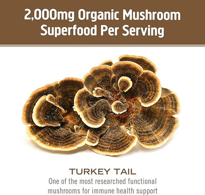 OM MUSHROOM SUPERFOOD Turkey Tail Organic Mushroom Powder, 3.5 Ounce, 50 Servings, Immune Support, Polysacchrides, Beta-Glucans, Gut Health & Holistic Defense Mushroom Supplement
