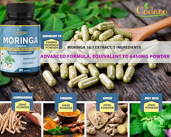 Organic Cadane Moringa Extract Capsules 6450mg, 3 Months 90 Capsules