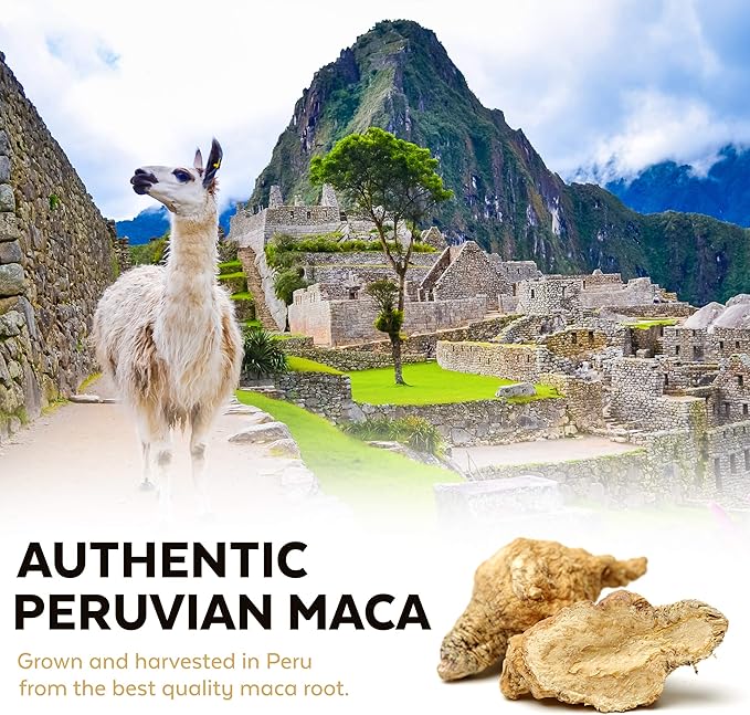 Viva Naturals Organic Maca Powder - Gelatinized Maca Powder Organic, Pervuian Superfood Traditionally Used for Energy, Certified Organic, Gluten-Free & Non-GMO, 16 Oz (1 lb) Bag